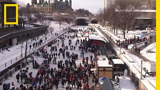 Ottawa’s Rideau Canal is the World’s Largest Ice Rink  National Geographic [upl. by Lietman209]