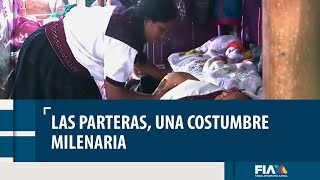 Las parteras una tradición milenaria que hoy pide reconocimiento [upl. by Eirrehc897]