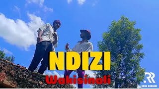 WAKISINALI  NDIZI OFFICIAL VIDEO Mariwana  Wakadinali Kisii Version [upl. by Aker]