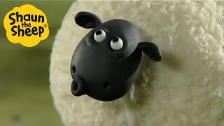 Shaun the Sheep 🐑 EPIC SHEEP  Cartoons for Kids 🐑 Full Episodes 🐑 Full Season 1 [upl. by Sinnylg157]