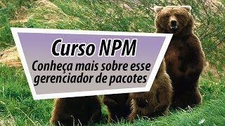 Curso de NPM O que é NPM  Aula Demonstrativa [upl. by Udele744]