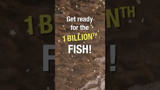 1 BILLIONTH fish stocking texasfishing [upl. by Skyler]