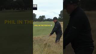 Phil’s fescue rescue 🅰️➕ [upl. by Pandolfi540]