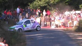 Rallye San Froilan 2009 [upl. by Ihdin]