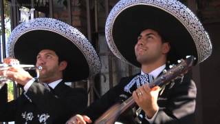 Mariachi Imperial De Chile [upl. by Lehcsreh]