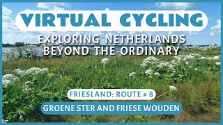 Fietsroute Groene Ster en Friese Wouden  Virtueel Fietsen [upl. by Handy]