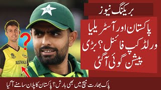 Pak vs Aus Final in T20 Worldcup Final Big Good Prediction  Pak Big Plan in T20 World Cup [upl. by Doownyl]