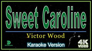 Victor Wood  Sweet Caroline karaoke version [upl. by Hsitirb122]