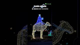 Pozuelo inaugura la ✨Navidad🎄 con el encendido por la alcaldesa Paloma Tejero 💡pozuelo [upl. by Kynan]