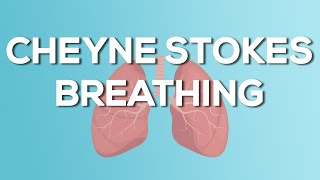 Cheyne Stokes Breathing  Causes Demonstration Treatment [upl. by Agosto]