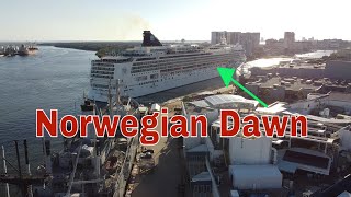 Norwegian Dawn Sets Sail From Tampa Let The Journey Begin [upl. by Alrac]