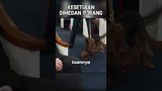 KESETIAAN TERAKHIR DIMEDAN P3RANG [upl. by Ott]