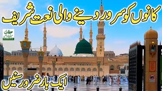 New Best Kalam Apni Rehmat Ke Samandar Mein by Naveed Ahmed Qadri [upl. by Saberio]