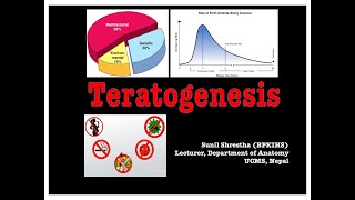 Teratogenesis Anatomy Shortcut channel [upl. by Ceporah]