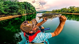 Landing fish on HARTWELLS CLEAREST WATERS [upl. by Adalheid182]