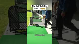 The Golf Ball What 😂 donnell golf comedy vlog golfswing [upl. by Truc]