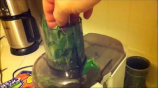 Juicing Cannabis For Pain Control  Easy Marijuana Cuttings Part 2 of 3 [upl. by Hsirahc977]