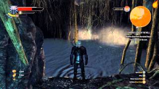 The Witcher 3 Contract Devil by the Well  Quest Walkthrough [upl. by Electra927]