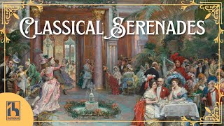 Classical Serenades  Mozart Tchaikovsky Schubert [upl. by Olsewski]