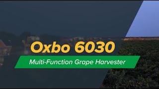 Oxbo 6030  MultiFunction Grape Harvester [upl. by Nomrej]