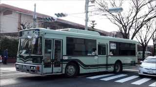 【京都市バス】京都マラソンのため臨時操車場となった鳳徳小学校グランド [upl. by Eirojram]