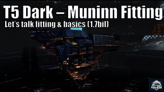 Muninn Fit for Tier 5 Dark Abyssal [upl. by Anitnatsnok682]