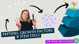 The Role Of Peptides Growth Factors amp Stem Cells Inside Your Skincare [upl. by Wandie]