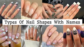 Different Types Of Nail Shapes And NamesAll Types Of Nail ShapesNail Shapes NamesTo Fashion [upl. by Keyser]