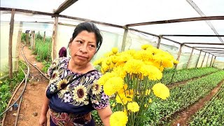 The Villages of Chiapas Mexico’s Poorest State 🇲🇽 [upl. by Hoisch383]