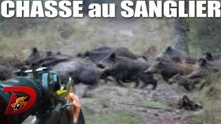 Chasse sangliers dans lAube partie 1 [upl. by Anaiv]