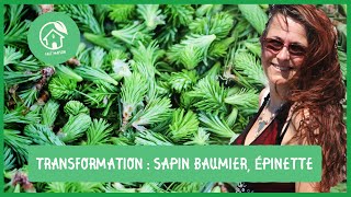 Sapin baumier et épinettes transformations et productions de produits de terroir [upl. by Atinaw]