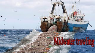 Life On Worlds Most Advance Fish Trawler  Unbelievable Hundred Tons Fish caught On The Boat [upl. by Wauters]