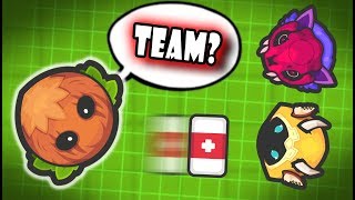 TROLLING TEAMERS IN ZOMBS ROYALE Zombsroyaleio SOLO vs TEAMERS Funny Moments [upl. by Douty258]