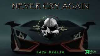 DJ NEVER CRY AGAIN  DASH BERLIN  DJ BARAT REMIX BREAKBEAT [upl. by Dawaj346]