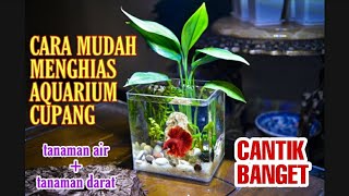 Cara Menghias Aquarium Ikan Cupang menjadi Cantik Banget secara Sederhana  The Best Betta Fish Tank [upl. by Hammad]