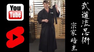 5 WAYS THE NINJA USED A TENUGUI CLOTH IN FEUDAL JAPAN  Ninjutsu Martial Arts Training Techniques [upl. by Cormick]