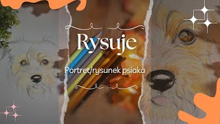 Rysuje portretrysunek psa ✨️🍁●Rysuj ze mną● ♡Draw with me ♡✨️drawing rysunek art drawwithme [upl. by Platt]