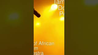 Feel the Beat African System Orchestra Pt [upl. by Teressa331]