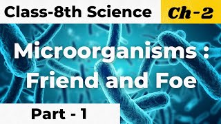 Microorganisms  Friend and Foe  Part1  Ch2  Science  Class 8th [upl. by Meggi723]