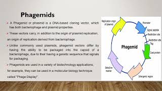 Cloning Vehicles  Cloning Vectors explanation in simple way [upl. by Mir]