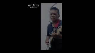 Peri Cintaku  Ziva Magnolya backingtracks musiccover popindonesia zivamagnolya pericintaku [upl. by Yruj]