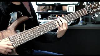 Anthony Crawford  Bass Guitar feat Keelyn Ellis cover [upl. by Keviv]