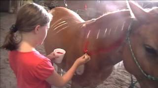 Meadowsweet Ranch Horsemanship Day Camp  611 [upl. by Ydnerb]