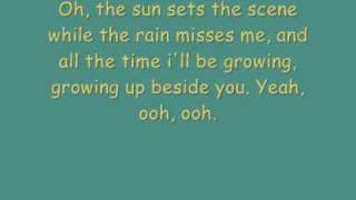 Paolo Nutini  Growing up beside you With lyrics [upl. by Bixby]