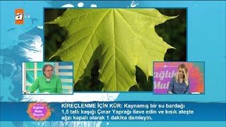 Kireçlenme için kür  Sağlıklı Mutlu Huzurlu 95 Bölüm  atv [upl. by Normac]