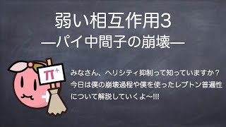 素粒子実験屋の解説 弱い相互作用3 パイ中間子の崩壊 [upl. by Glaser]