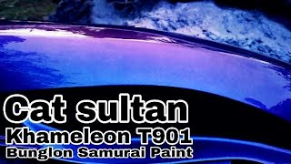 Cat sultan khameleon T901 bunglon samurai paint [upl. by Ayian]