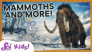 Woolly Mammoths Mastodons and Amazing Teeth  SciShow Kids [upl. by Rebe306]