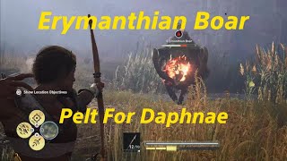 Assassins Creed Odyssey  The Erymanthian Boar [upl. by Hbahsur]