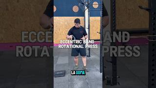 tendinitis tendinite mobilitytraining entrenamientodefuerza entrenamientoonline shoulderpain [upl. by Pogah]